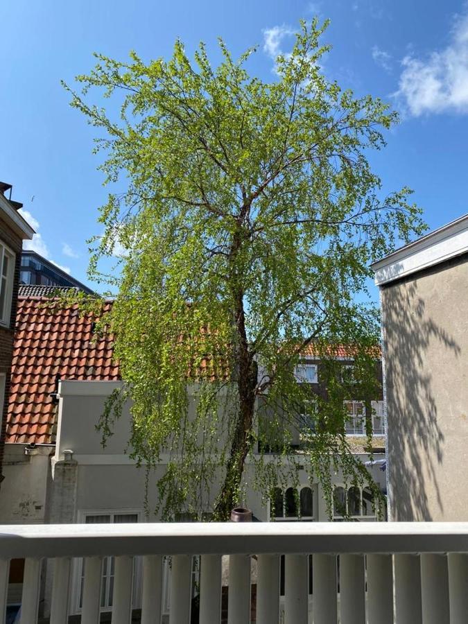 The Sunny Suite - R.Q.C. Haag Eksteriør billede